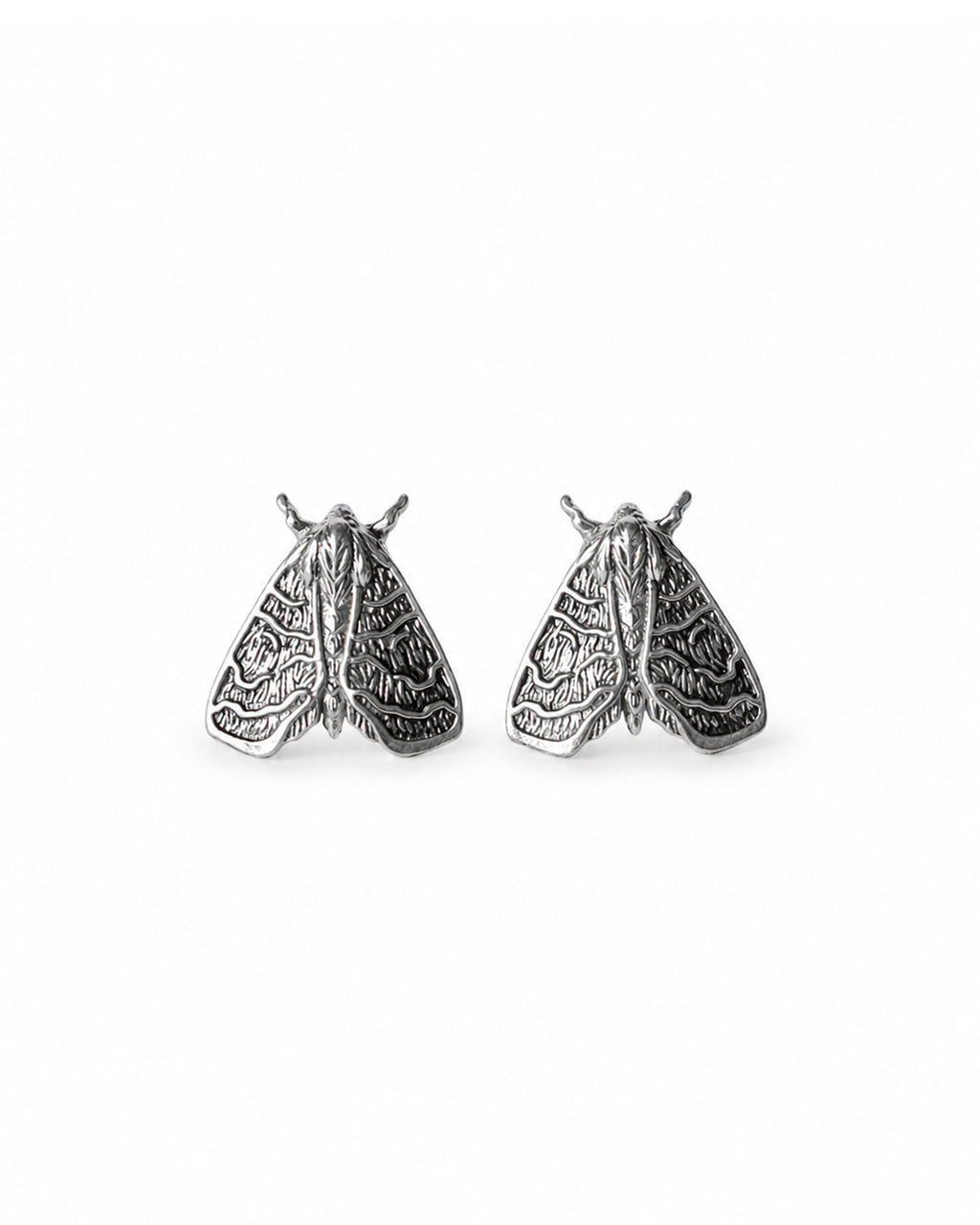 Ash Moth