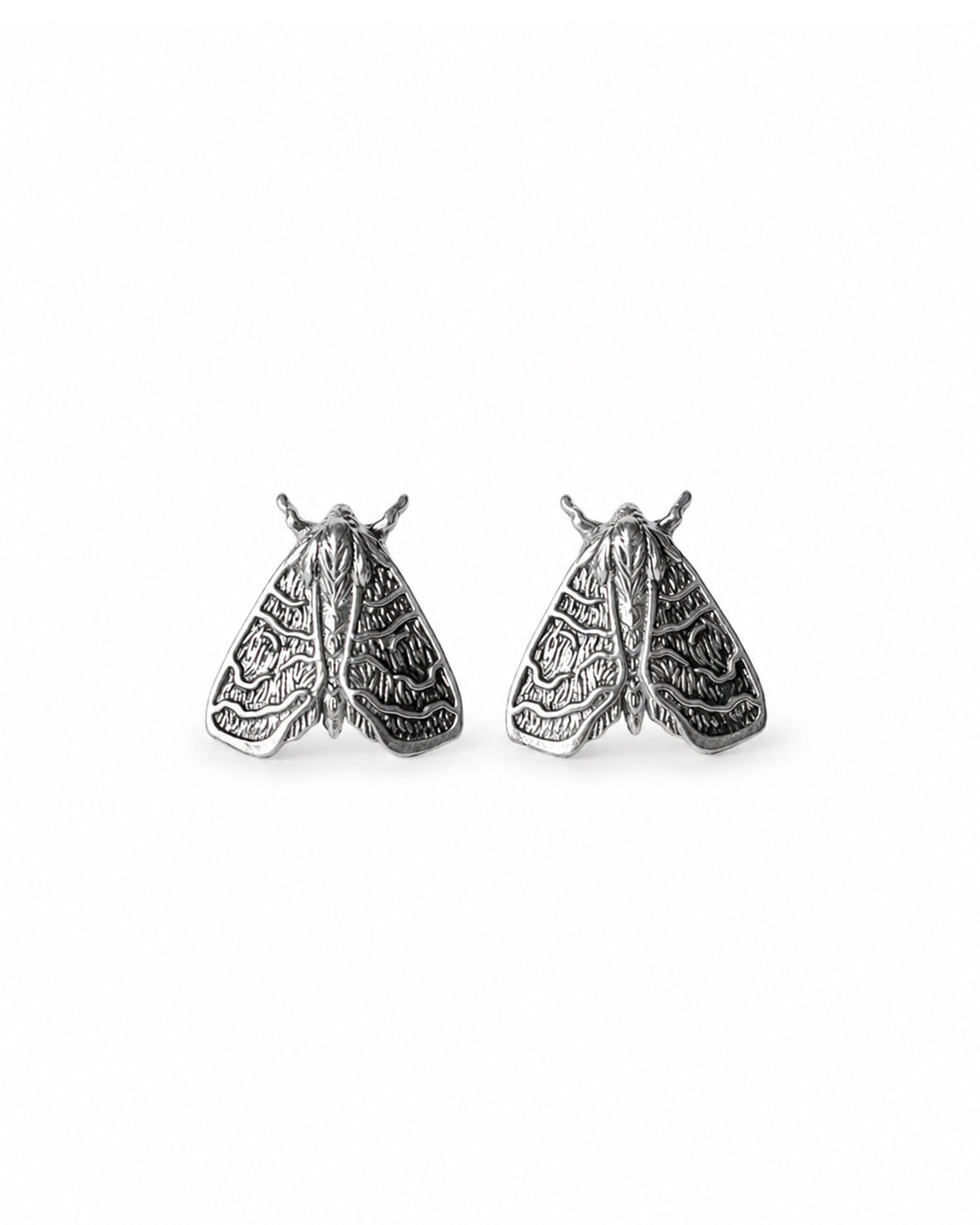 Ash Moth
