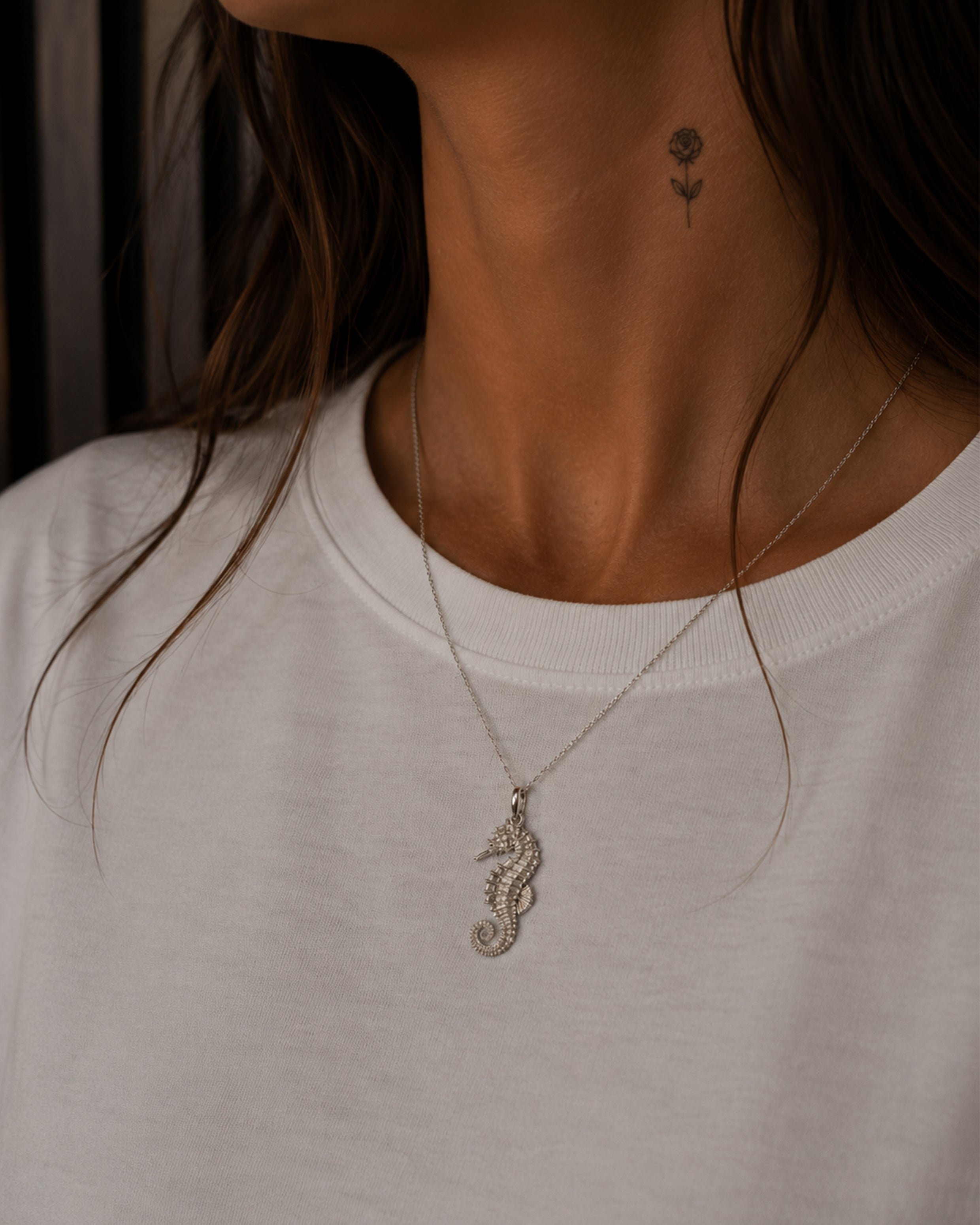 Seahorse