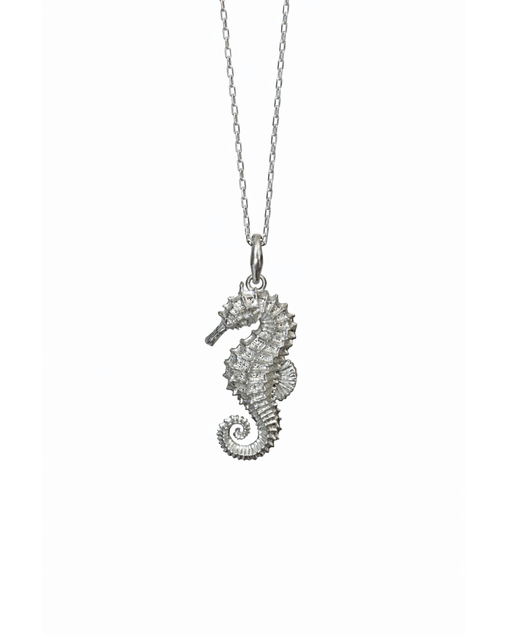 Seahorse