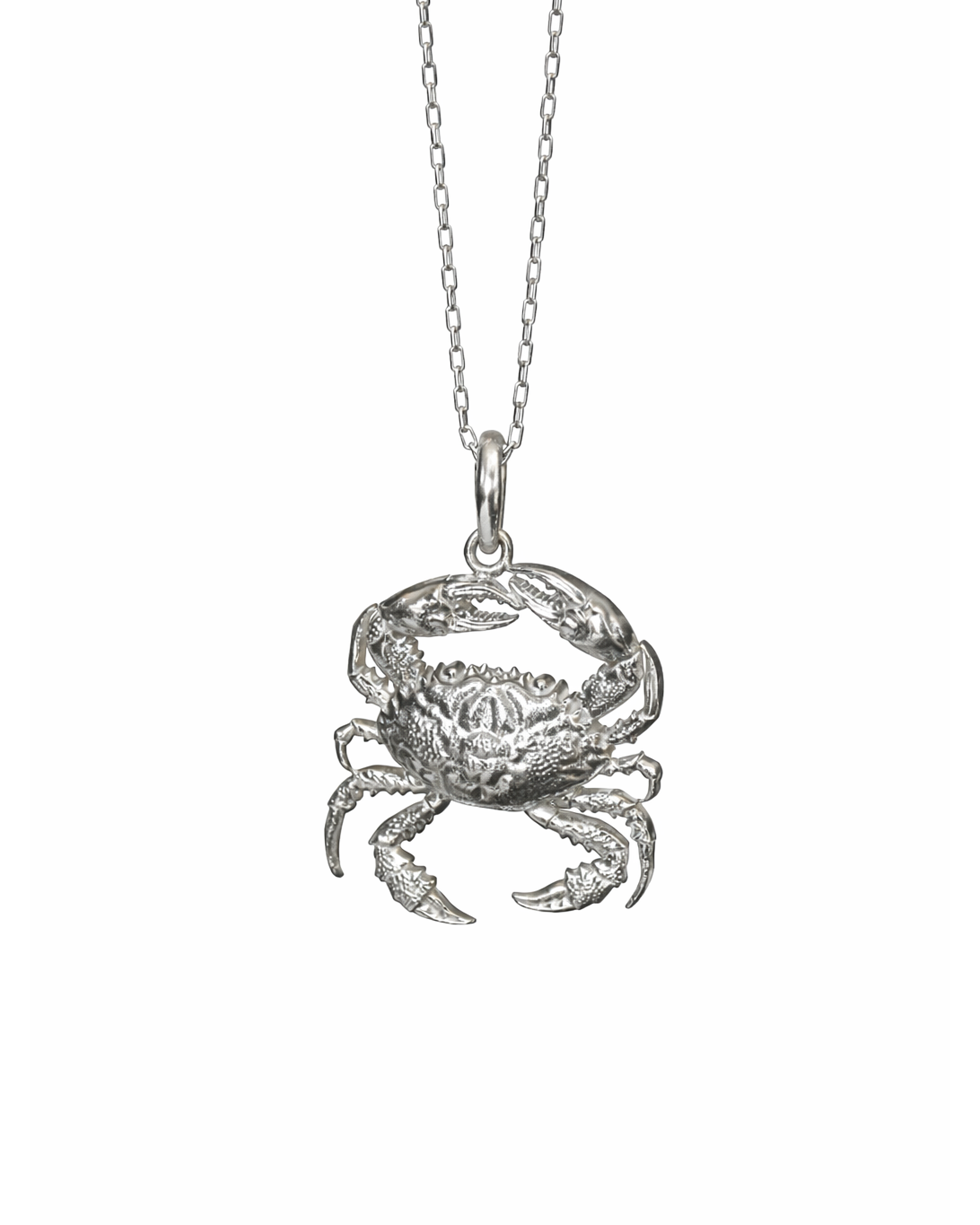 Crab
