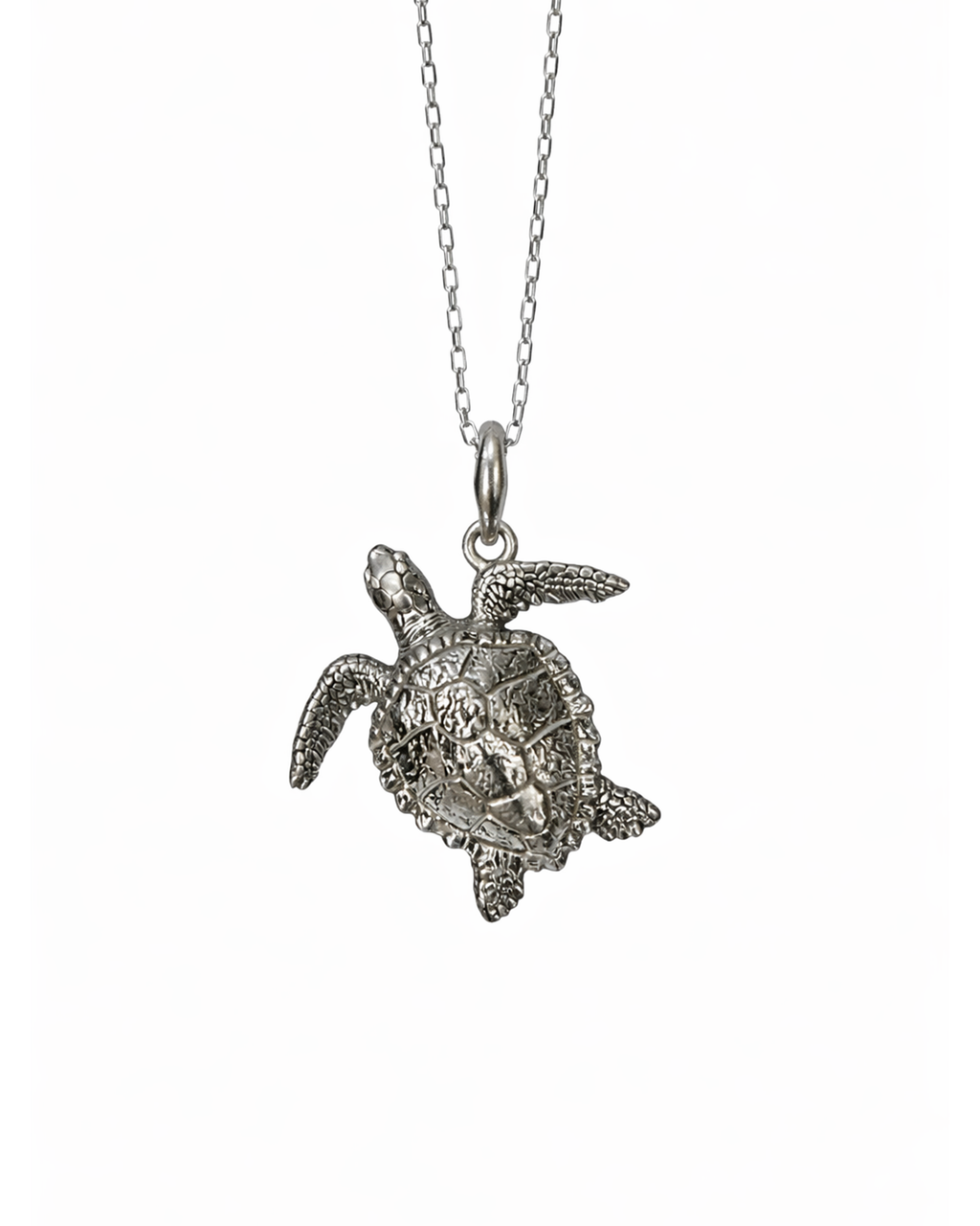 Caretta