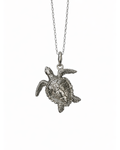 Caretta