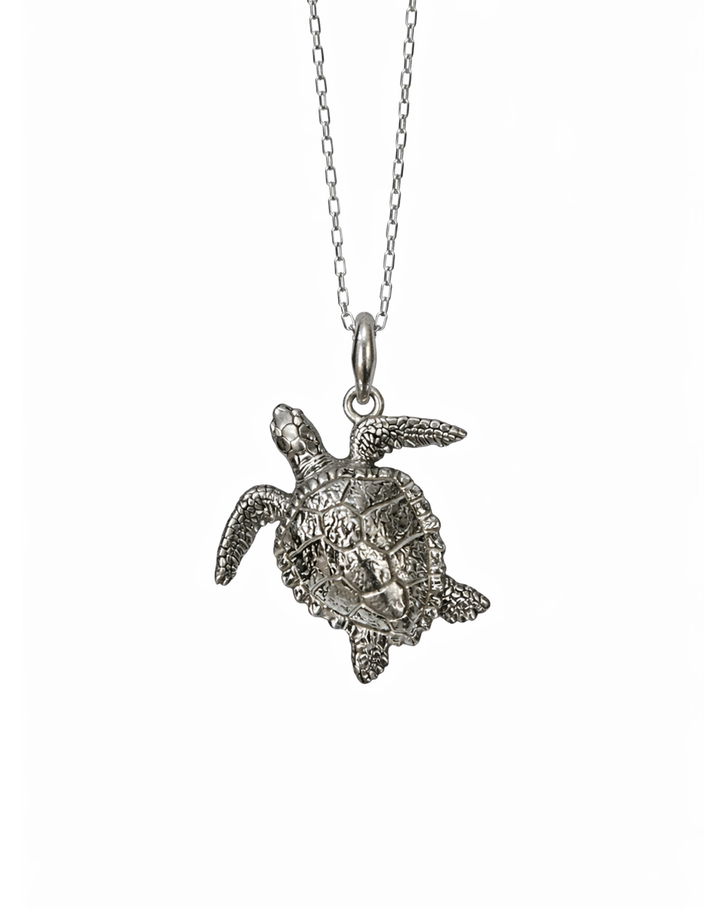 Caretta