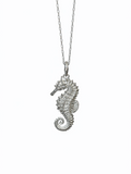 Seahorse