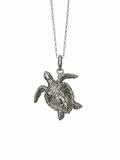 Caretta
